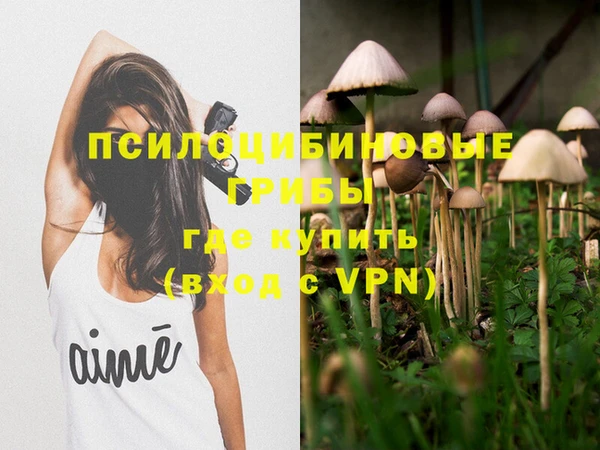индика Мегион