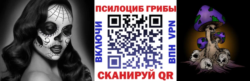 мориарти Telegram  Чудово  Галлюциногенные грибы мицелий 