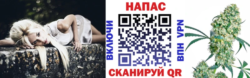 Канабис ГИДРОПОН  продажа наркотиков  Чудово 